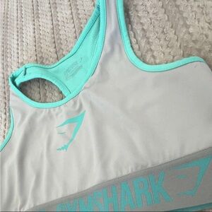 Gymshark Light Gray and Aqua Sports Bra